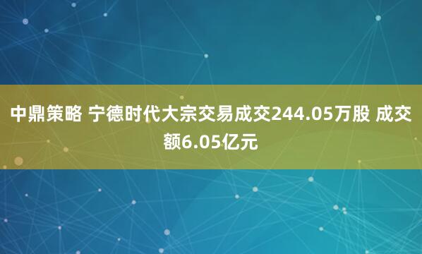 中鼎策略 宁德时代大宗交易成交244.05万股 成交额6.05亿元