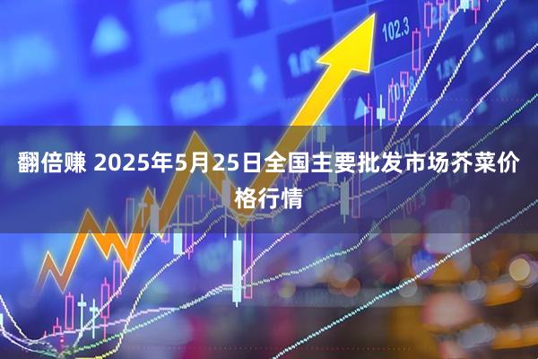 翻倍赚 2025年5月25日全国主要批发市场芥菜价格行情