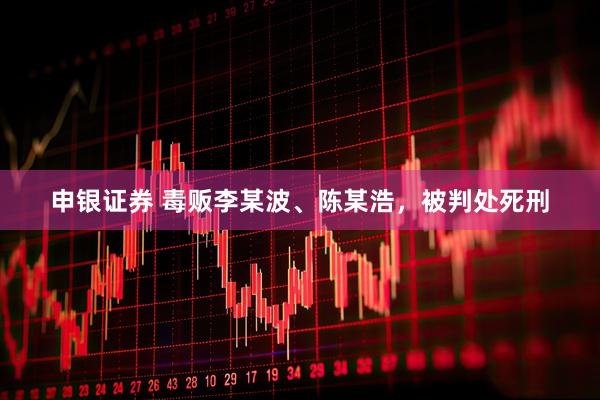 申银证券 毒贩李某波、陈某浩，被判处死刑