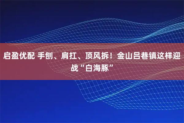 启盈优配 手刨、肩扛、顶风拆！金山吕巷镇这样迎战“白海豚”